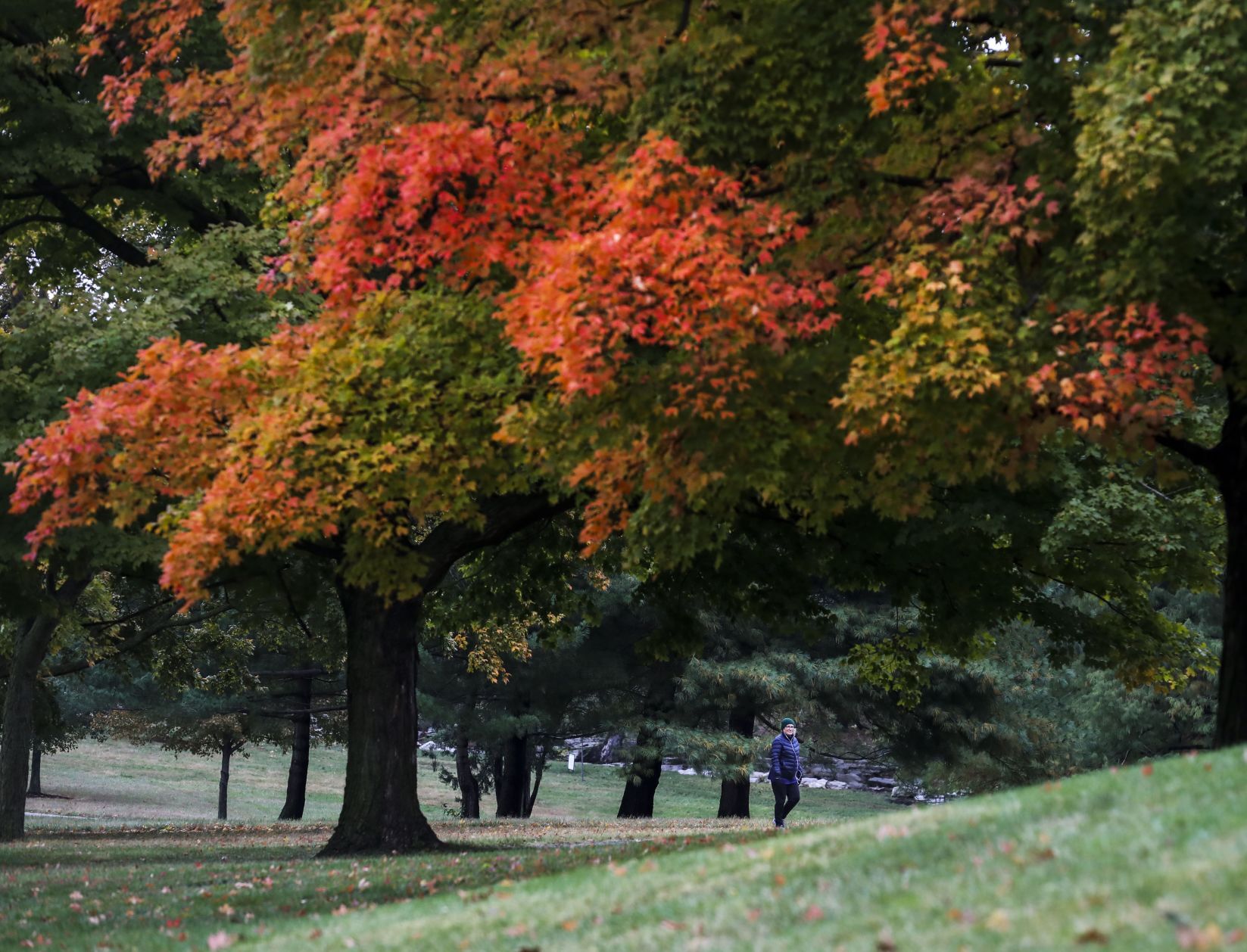Fall temperatures appear in October